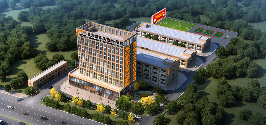 新世紀(jì)廚師應(yīng)具備的職業(yè)素質(zhì)觀