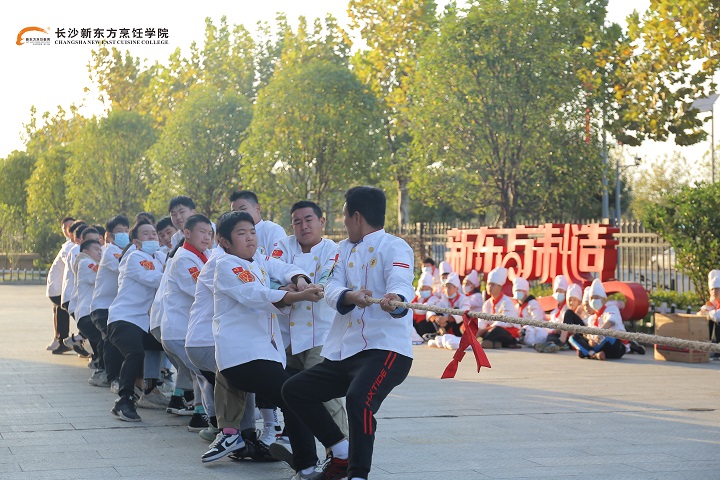 ��ʲô�������W(xu��)���ܶ��x�Lɳ�|��