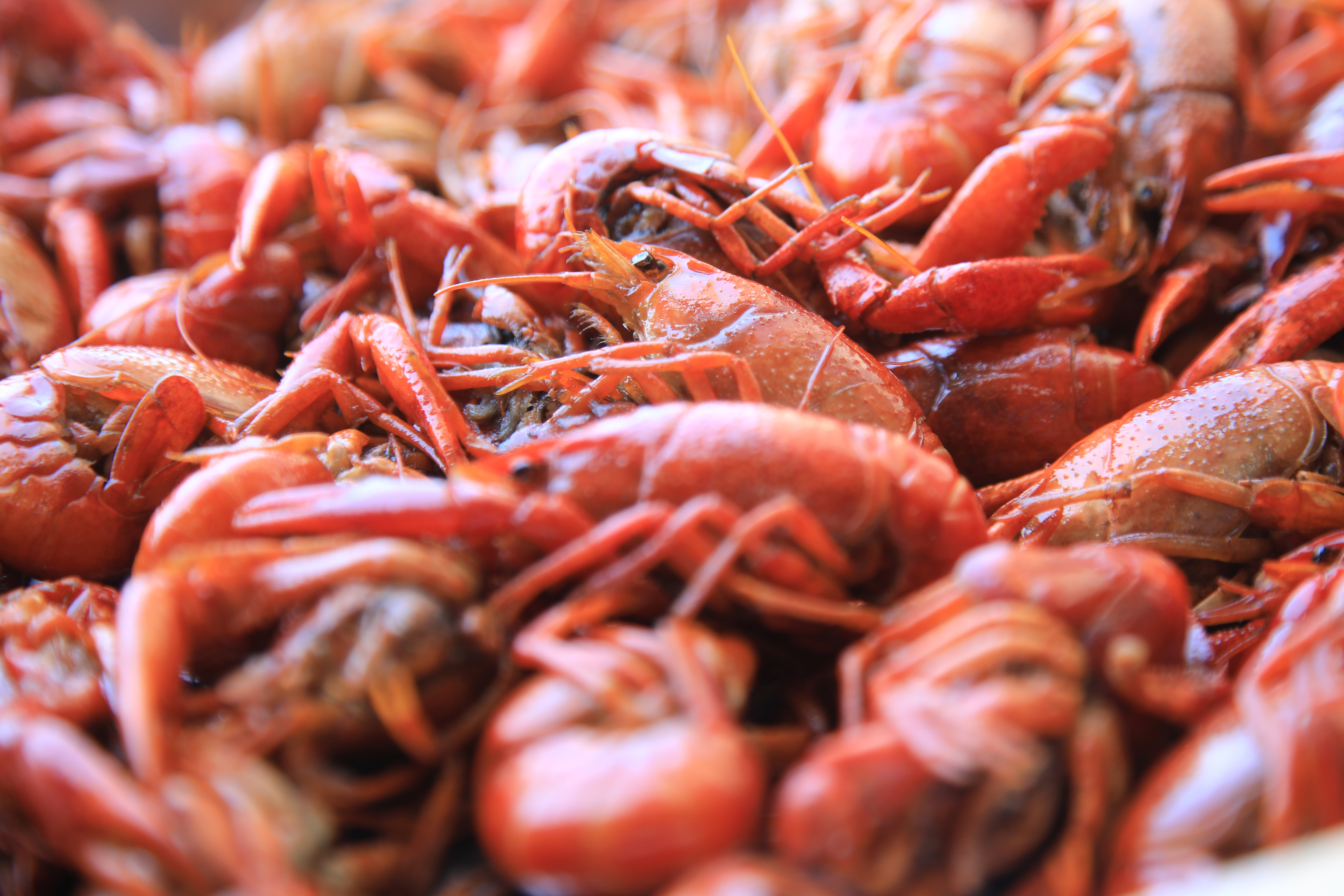 ΄(chung)I(y)Ҫעʲô